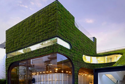 中国十大设计:让植物与建筑一起生长