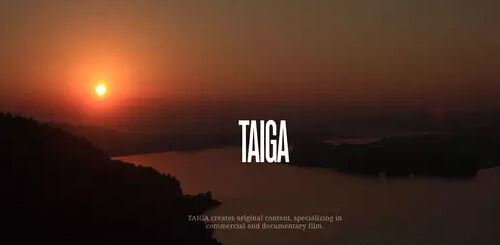 2016年,网页设计新趋势