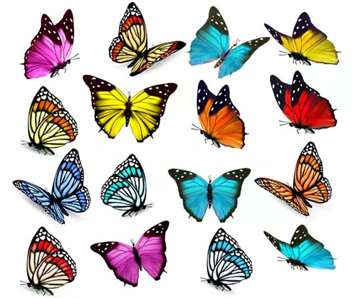 平面设计中的三大传达要素